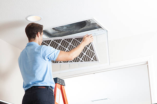 Best Air Filters and Purifiers in Kiln, MS